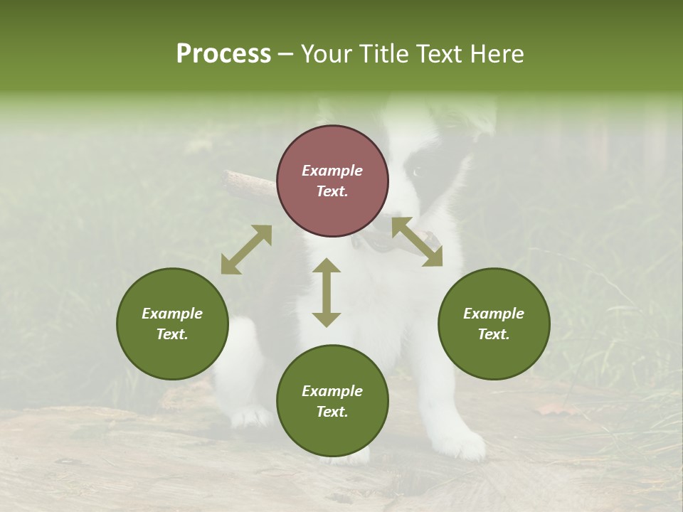 Grass Garden Newborn PowerPoint Template