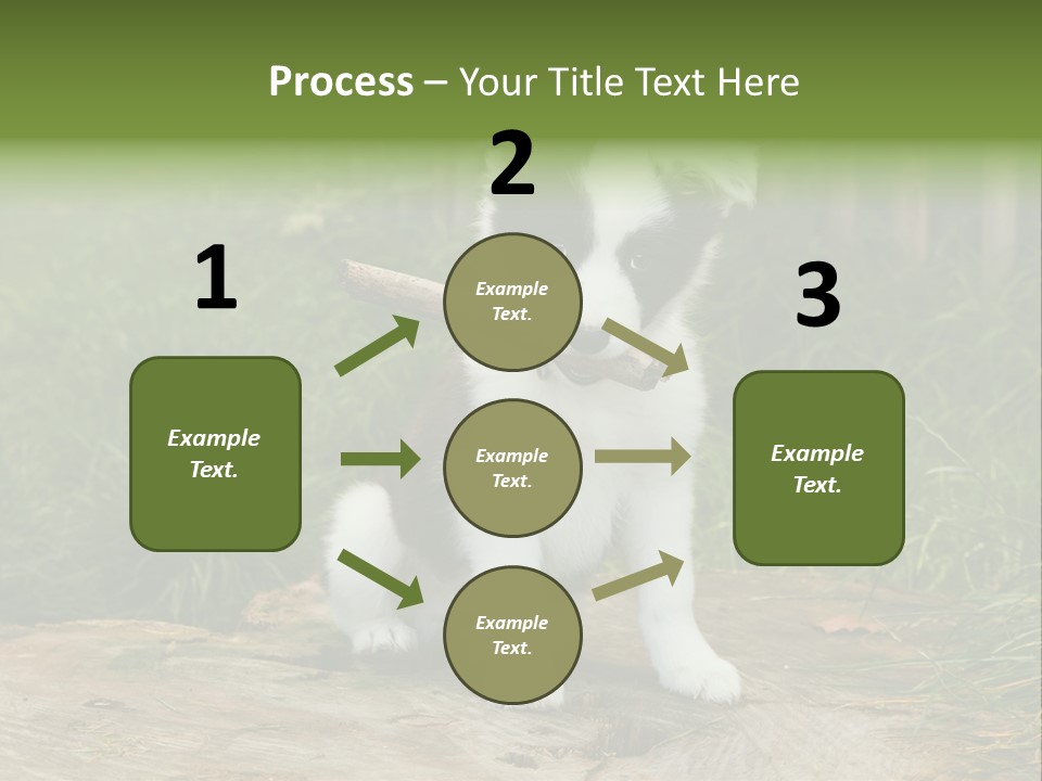 Grass Garden Newborn PowerPoint Template