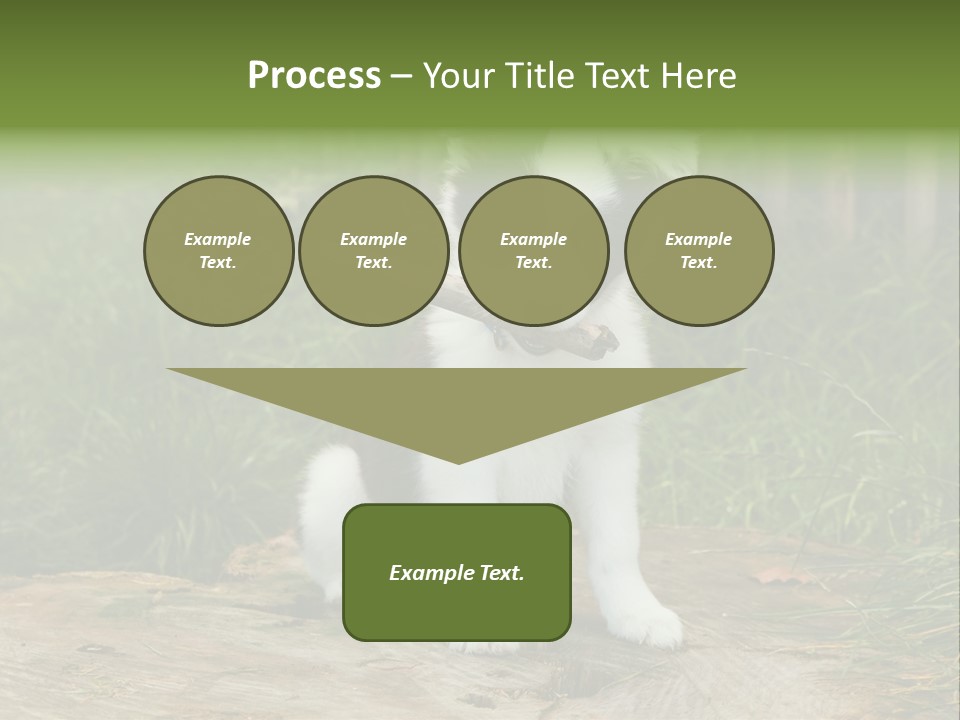 Grass Garden Newborn PowerPoint Template