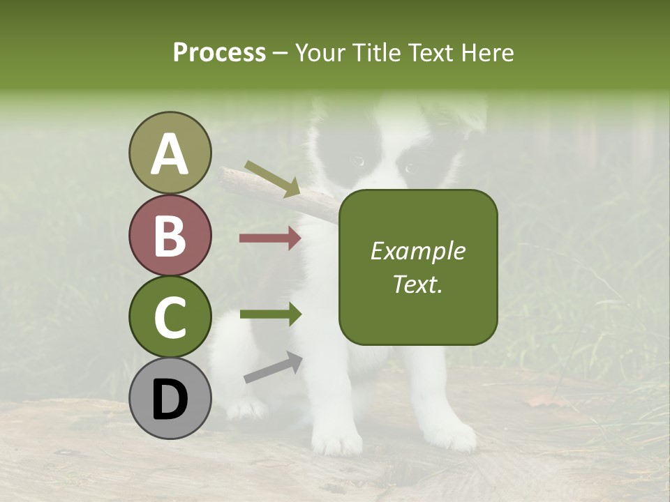 Grass Garden Newborn PowerPoint Template