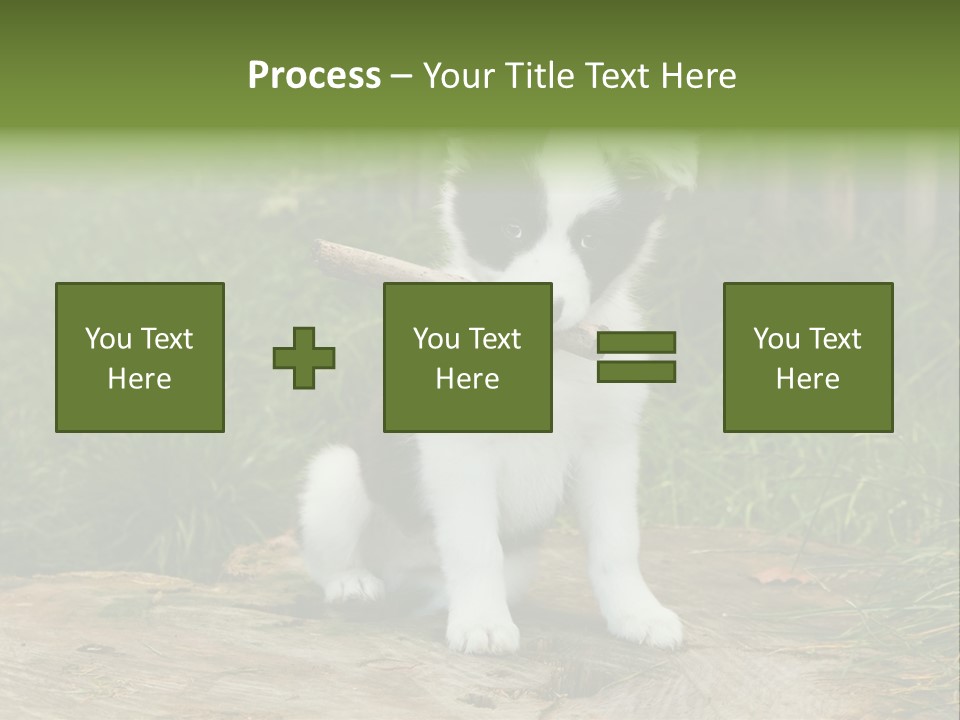 Grass Garden Newborn PowerPoint Template