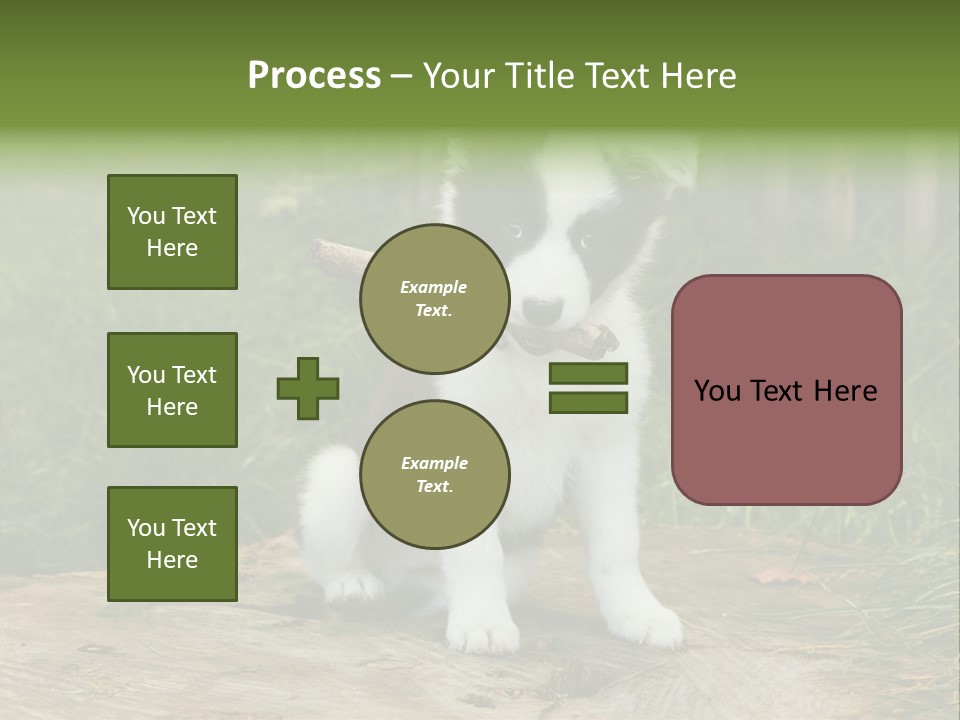Grass Garden Newborn PowerPoint Template