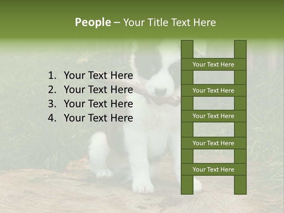 Grass Garden Newborn PowerPoint Template