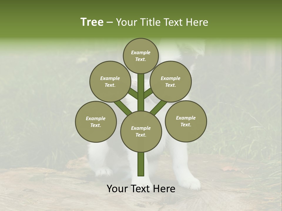 Grass Garden Newborn PowerPoint Template