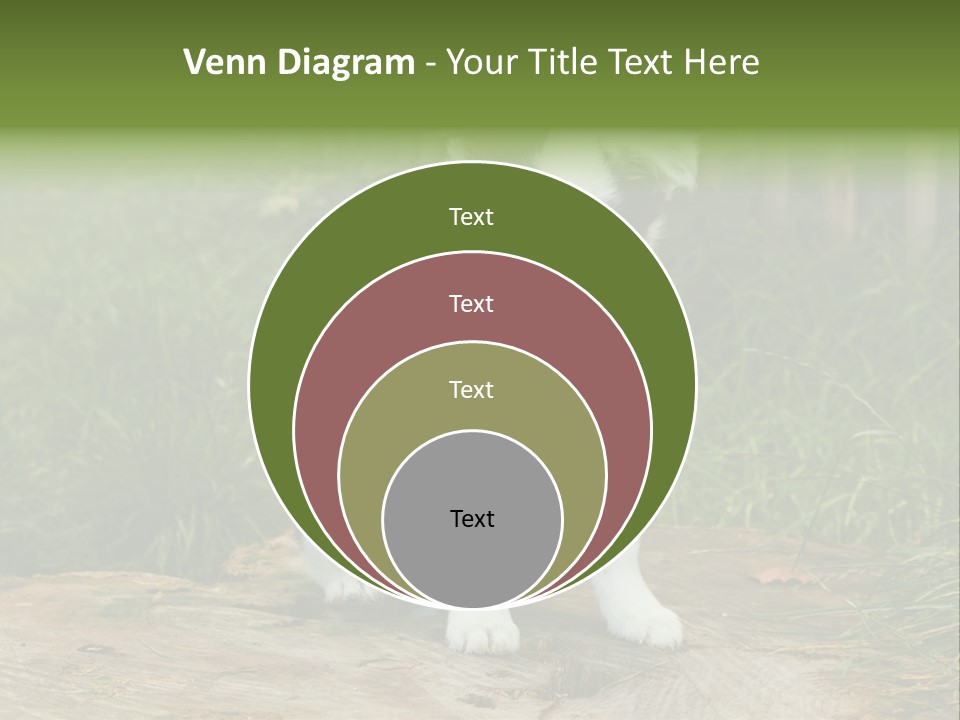 Grass Garden Newborn PowerPoint Template