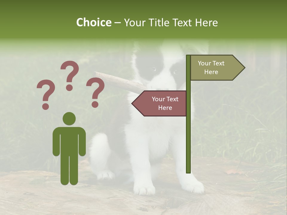 Grass Garden Newborn PowerPoint Template