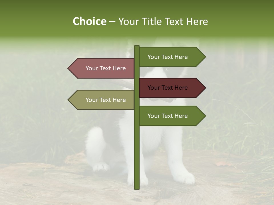 Grass Garden Newborn PowerPoint Template