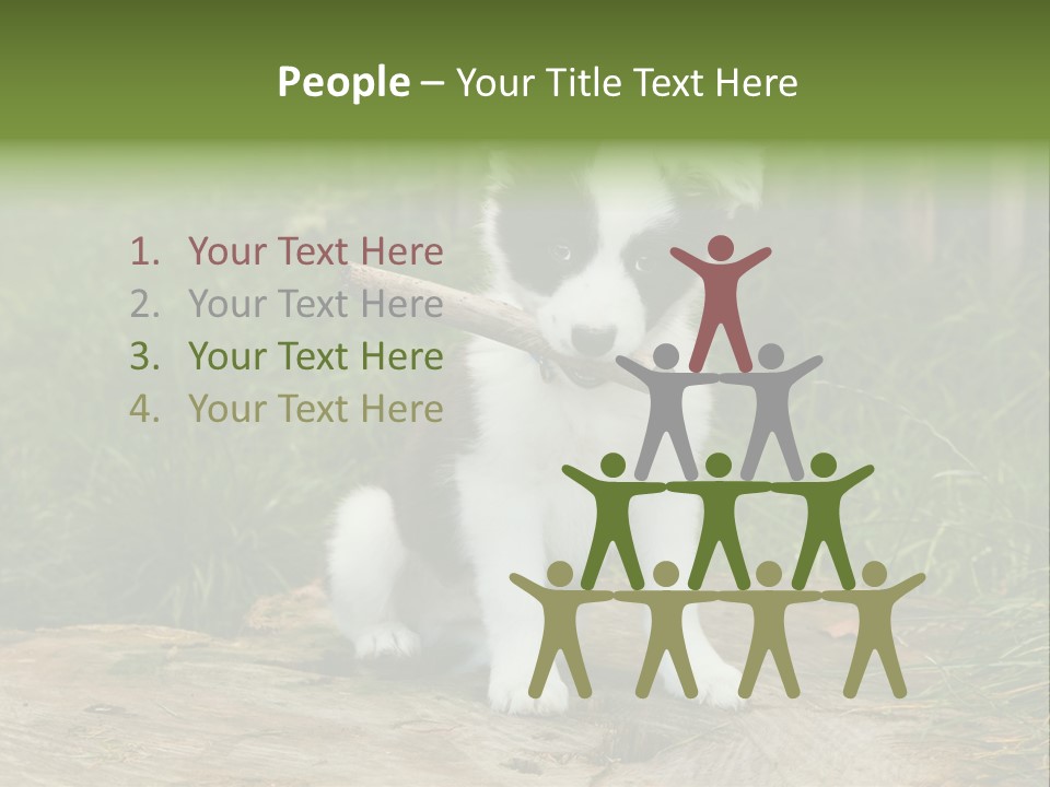 Grass Garden Newborn PowerPoint Template