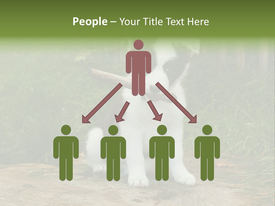 Grass Garden Newborn PowerPoint Template