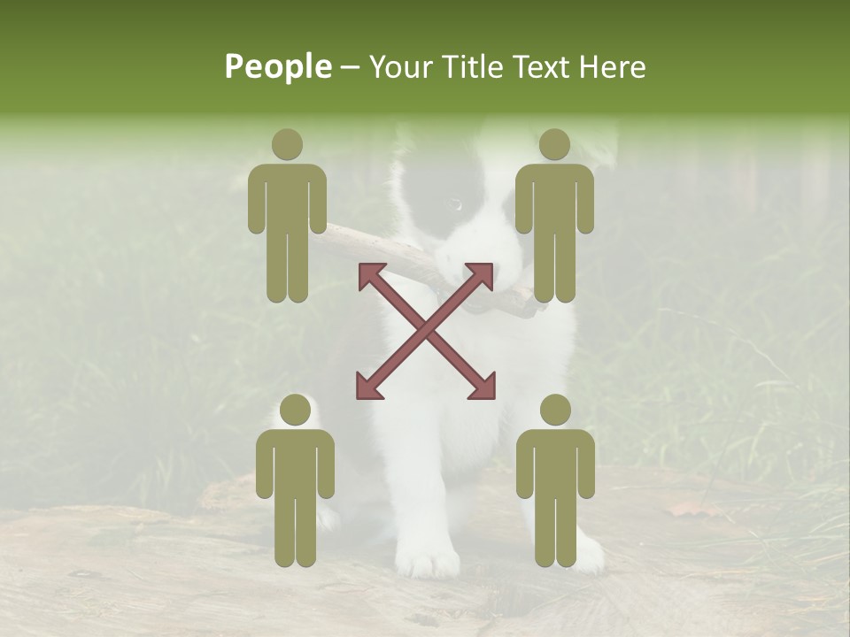 Grass Garden Newborn PowerPoint Template