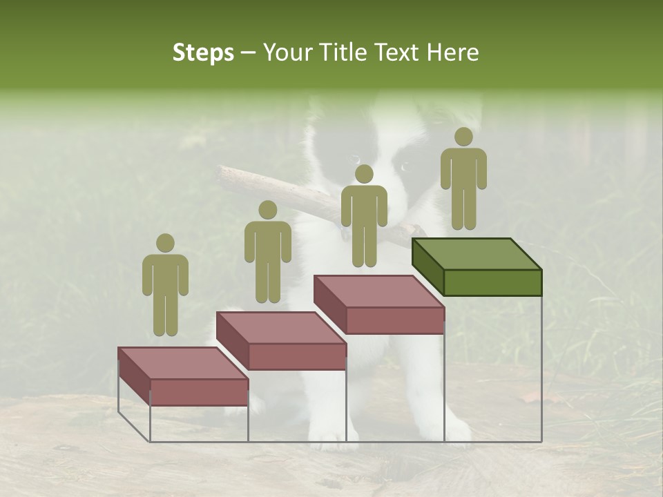 Grass Garden Newborn PowerPoint Template