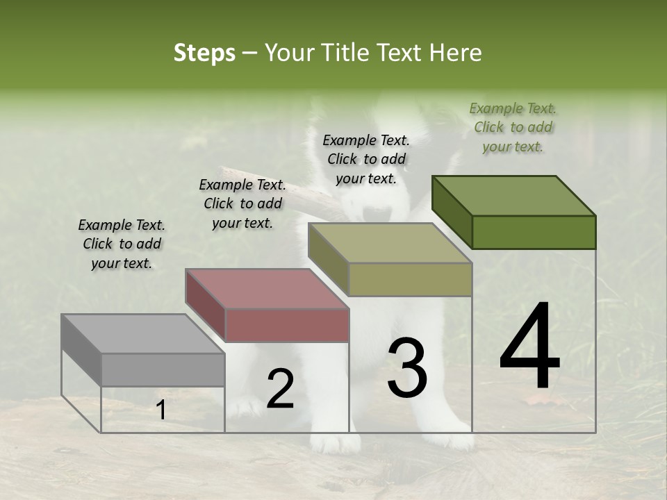 Grass Garden Newborn PowerPoint Template