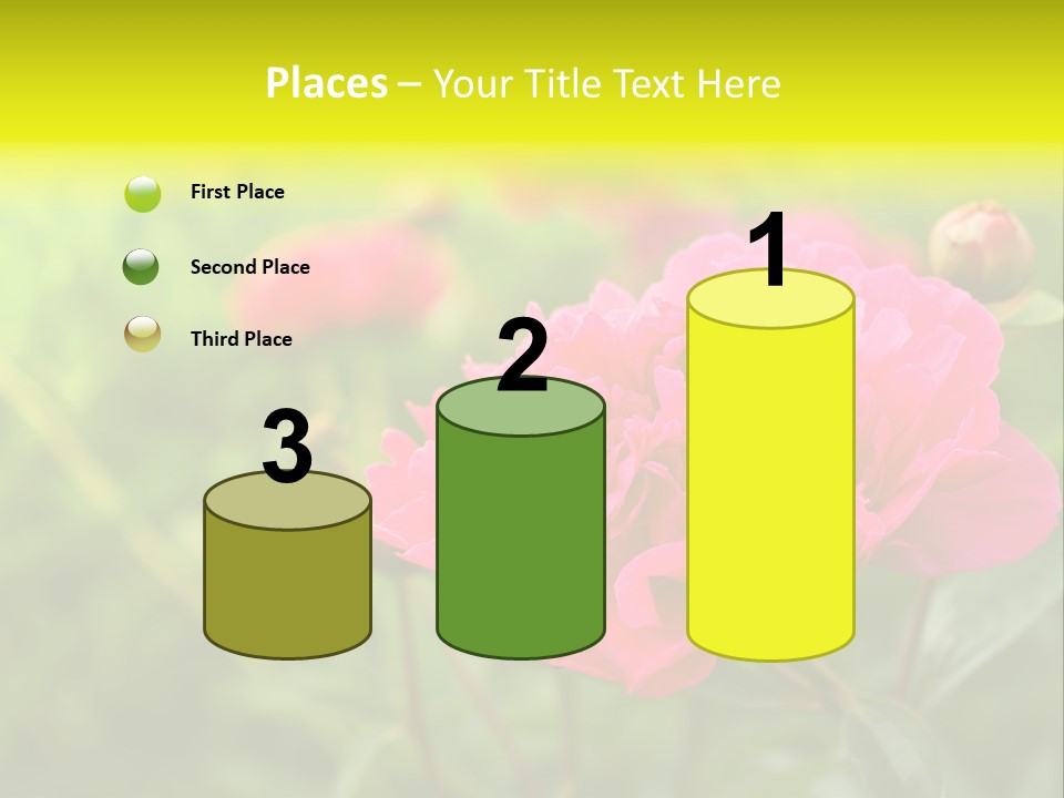 Arrangement Bunch Petal PowerPoint Template