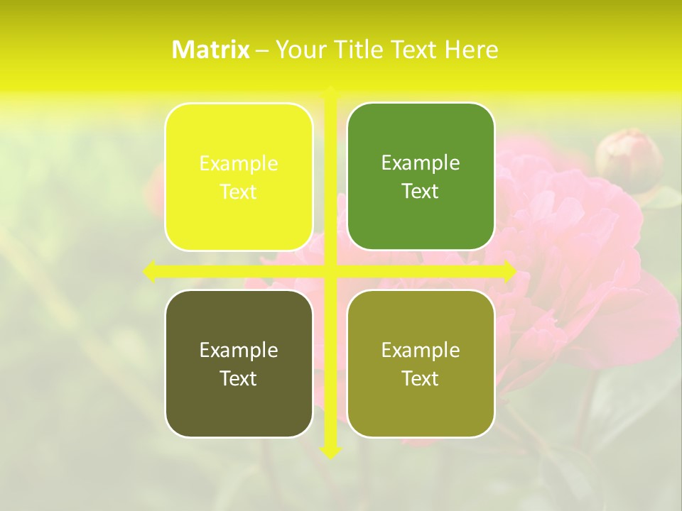 Arrangement Bunch Petal PowerPoint Template