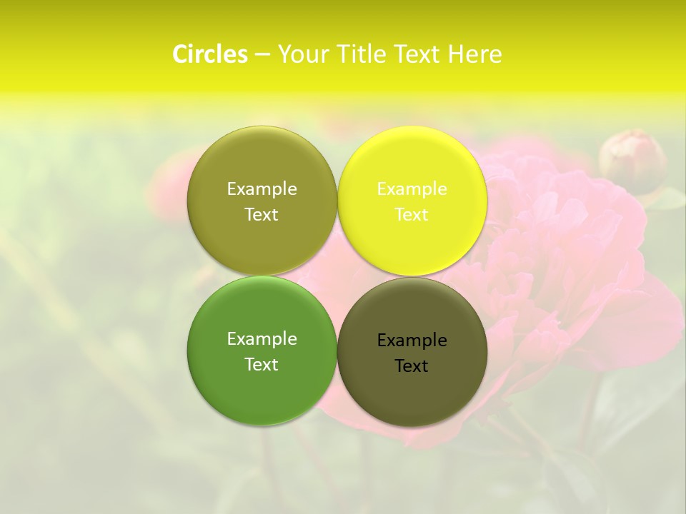 Arrangement Bunch Petal PowerPoint Template
