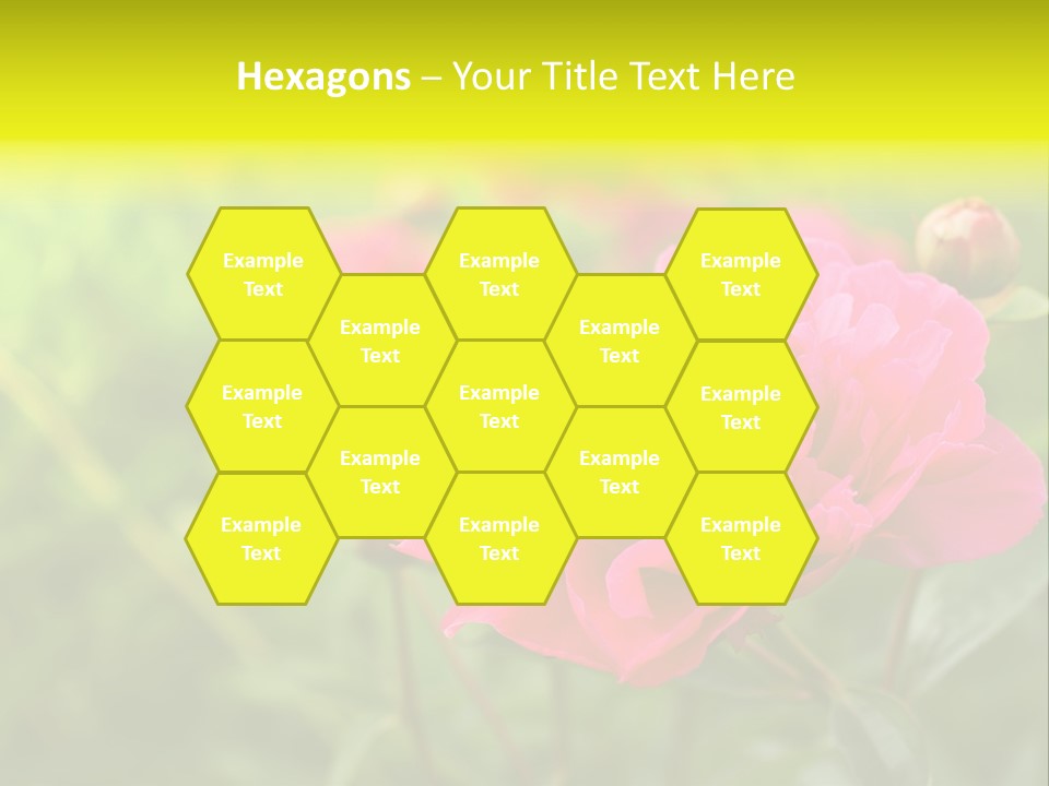 Arrangement Bunch Petal PowerPoint Template