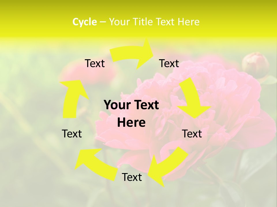 Arrangement Bunch Petal PowerPoint Template