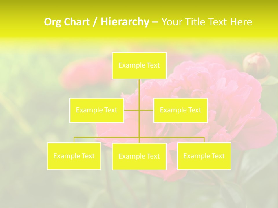 Arrangement Bunch Petal PowerPoint Template