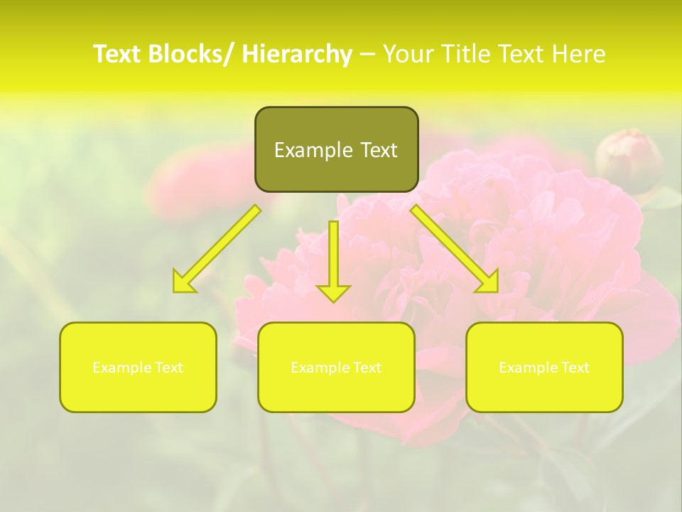 Arrangement Bunch Petal PowerPoint Template