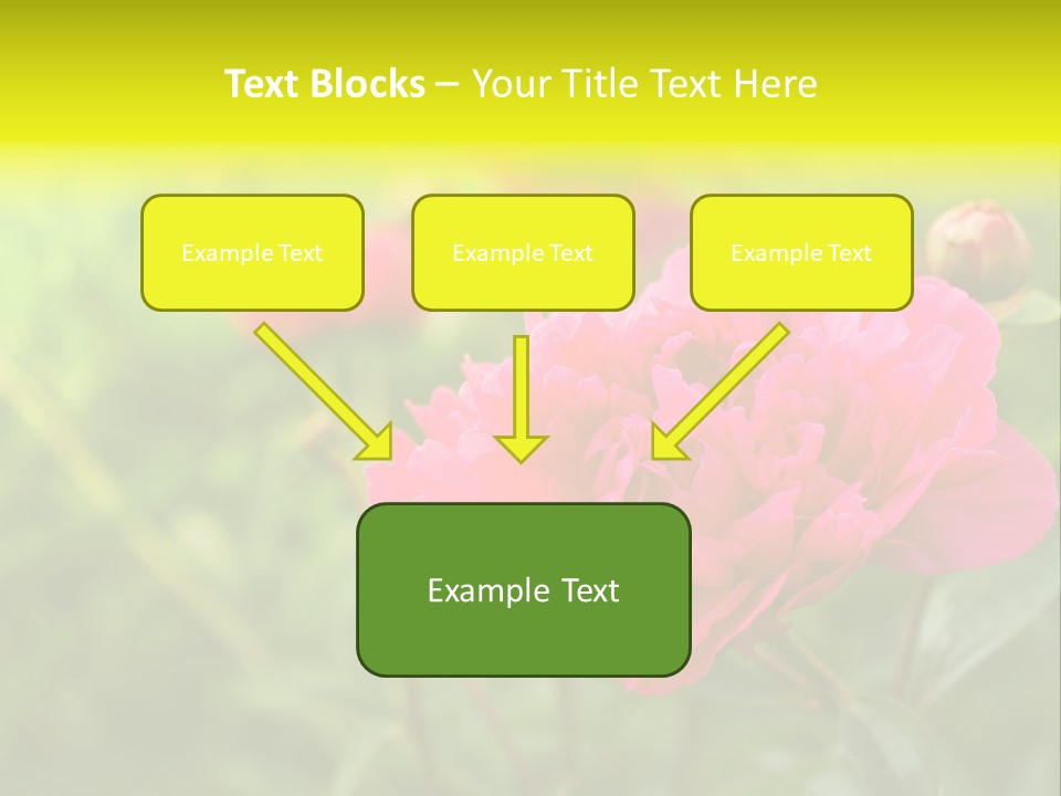 Arrangement Bunch Petal PowerPoint Template