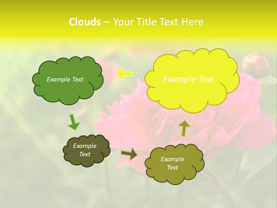 Arrangement Bunch Petal PowerPoint Template