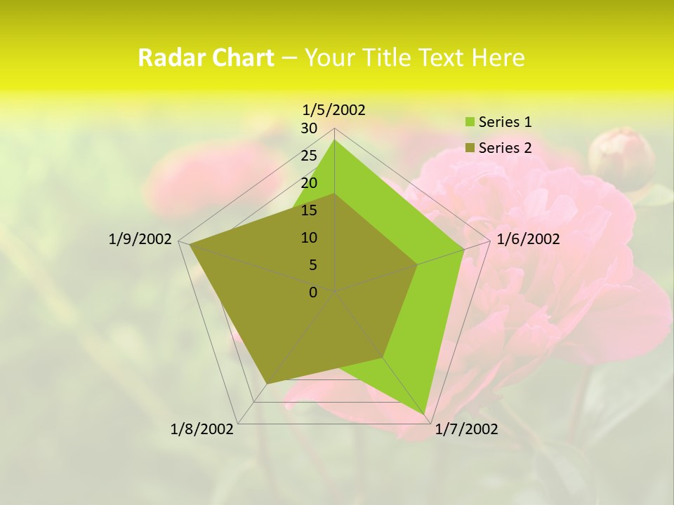 Arrangement Bunch Petal PowerPoint Template