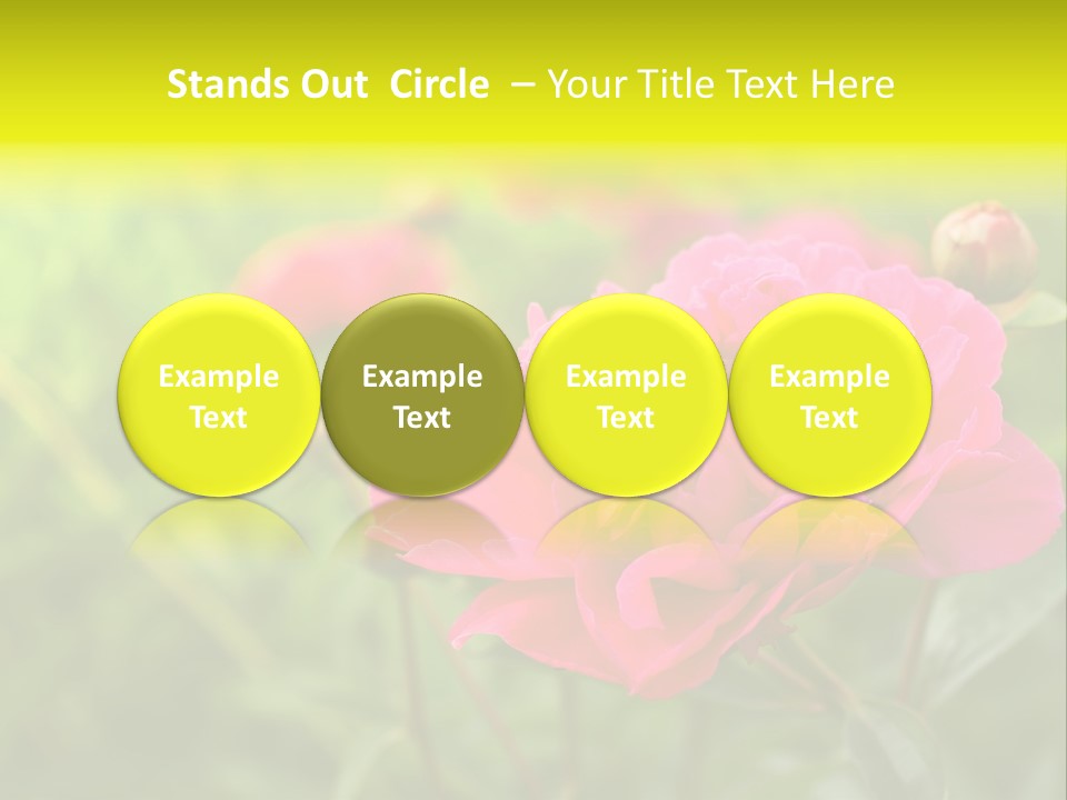 Arrangement Bunch Petal PowerPoint Template