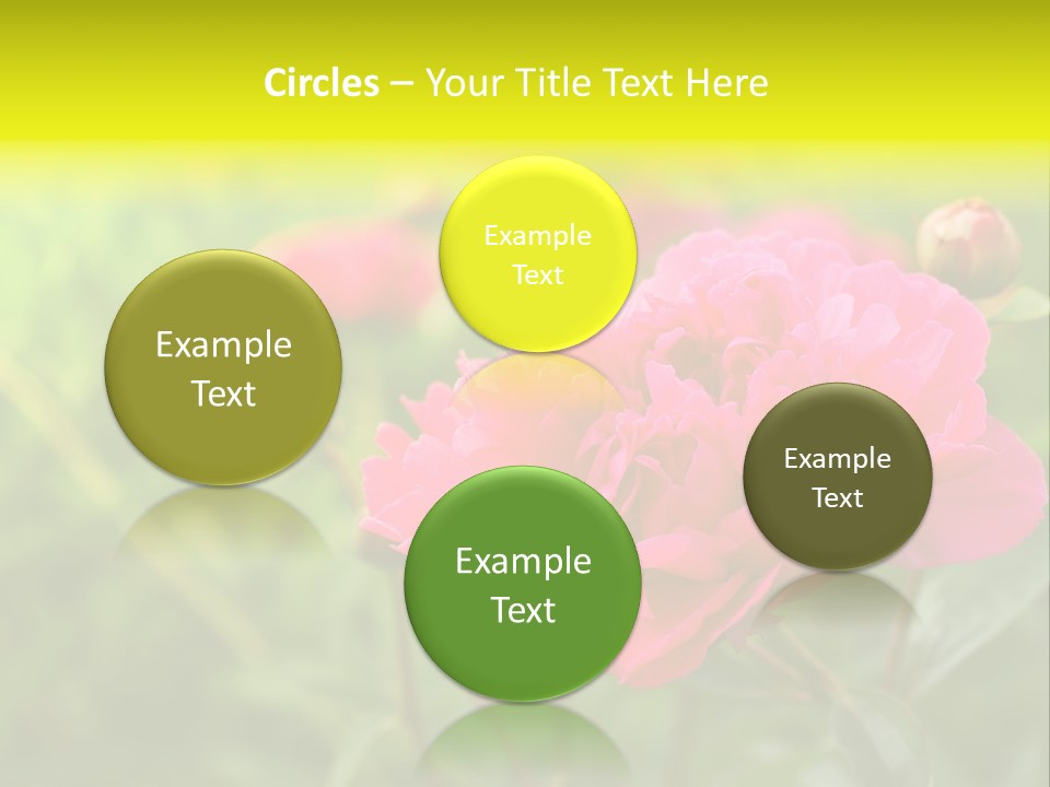 Arrangement Bunch Petal PowerPoint Template