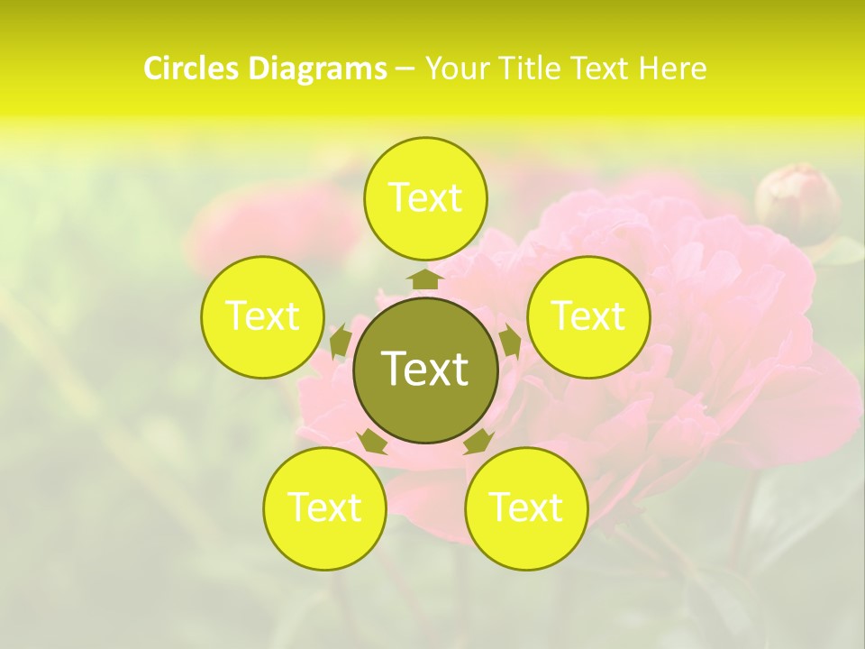 Arrangement Bunch Petal PowerPoint Template