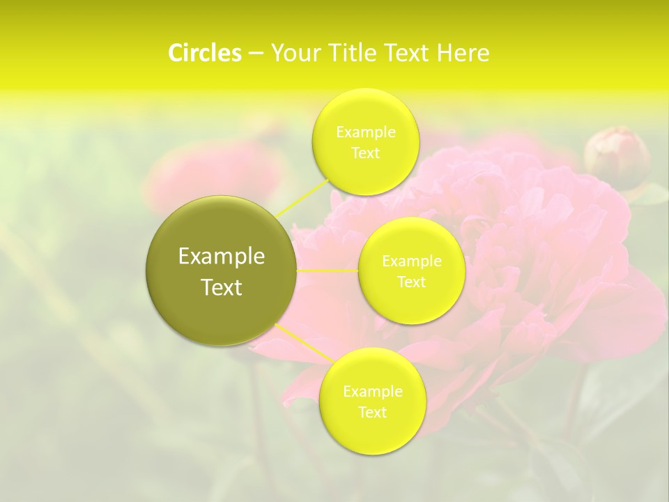 Arrangement Bunch Petal PowerPoint Template