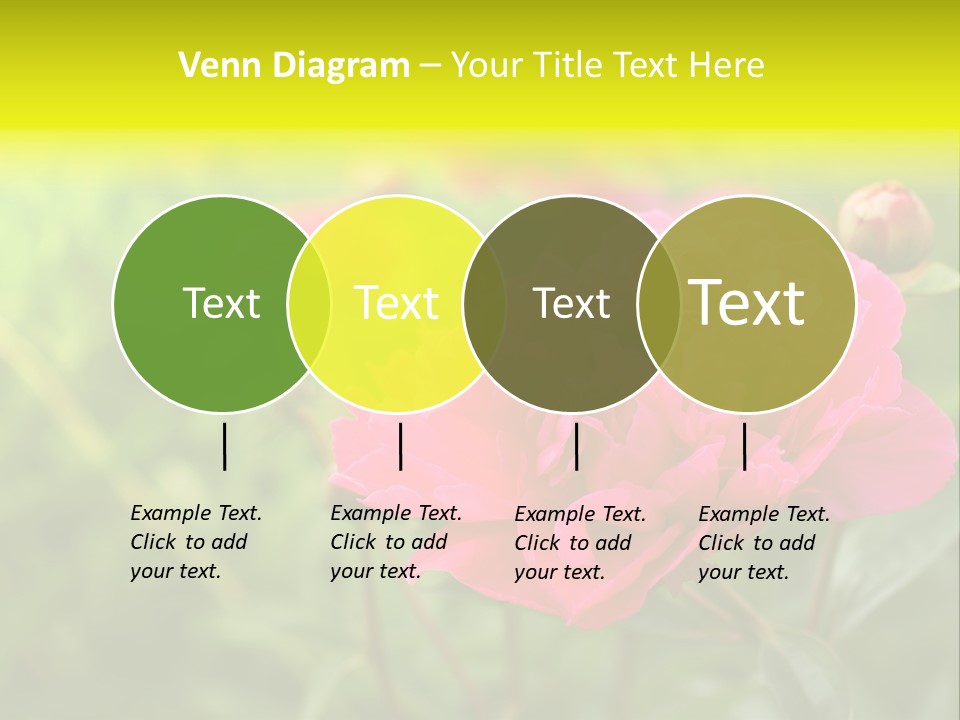 Arrangement Bunch Petal PowerPoint Template