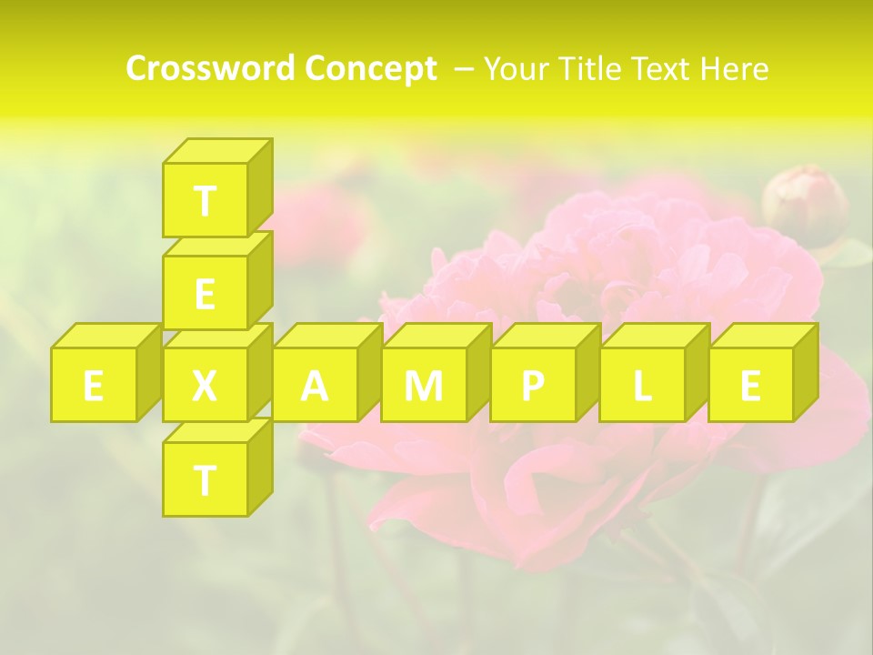 Arrangement Bunch Petal PowerPoint Template