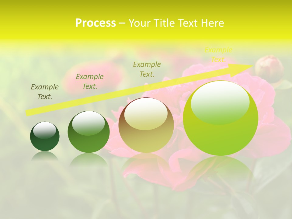 Arrangement Bunch Petal PowerPoint Template