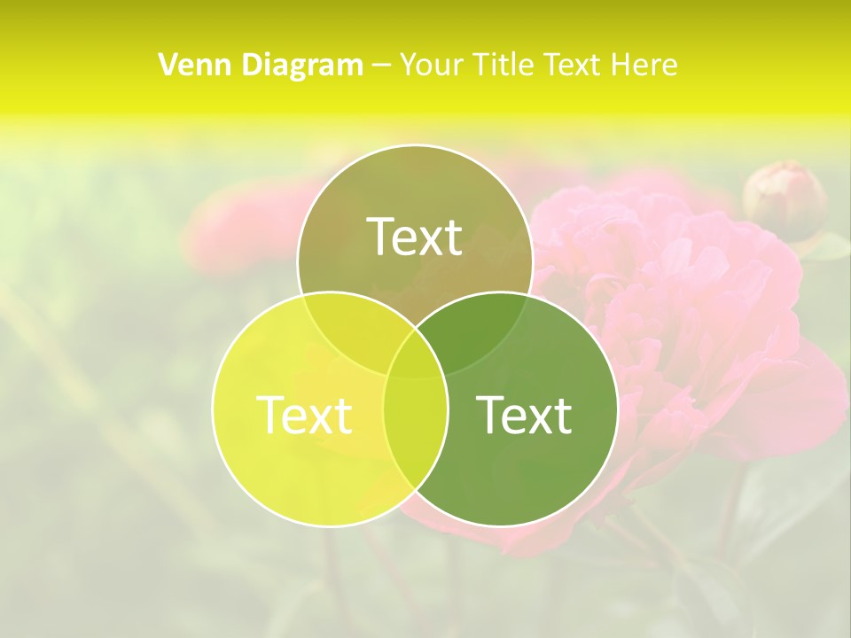 Arrangement Bunch Petal PowerPoint Template
