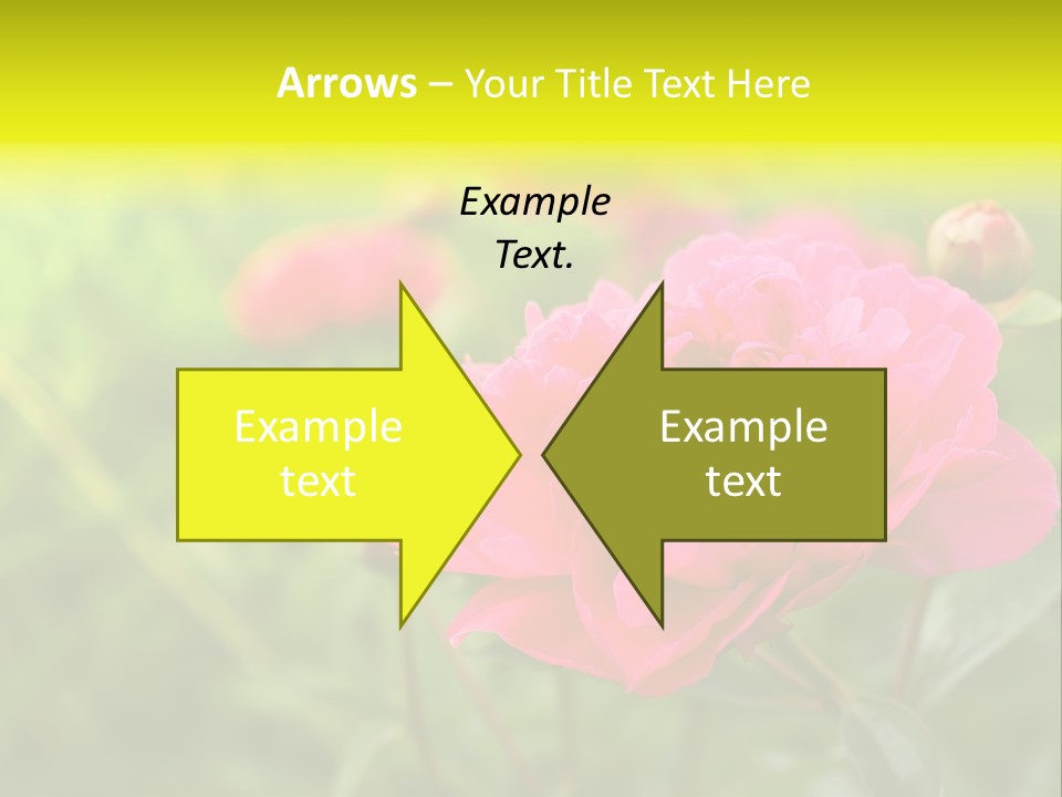 Arrangement Bunch Petal PowerPoint Template