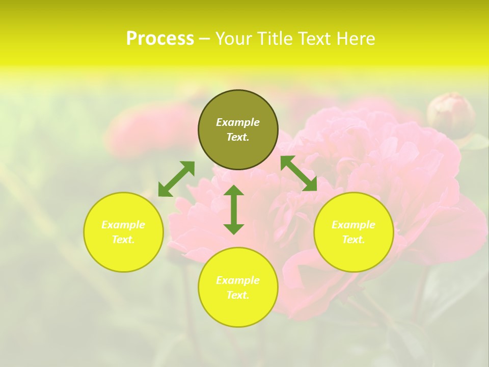 Arrangement Bunch Petal PowerPoint Template