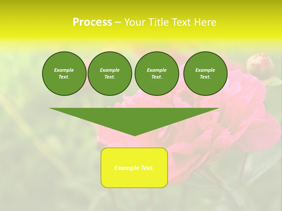 Arrangement Bunch Petal PowerPoint Template