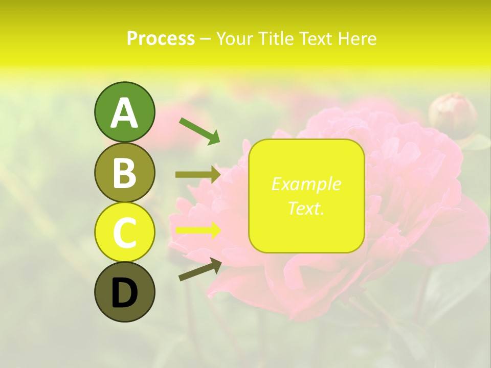 Arrangement Bunch Petal PowerPoint Template