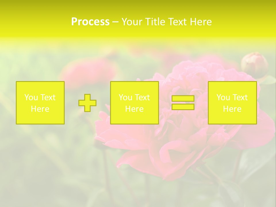 Arrangement Bunch Petal PowerPoint Template