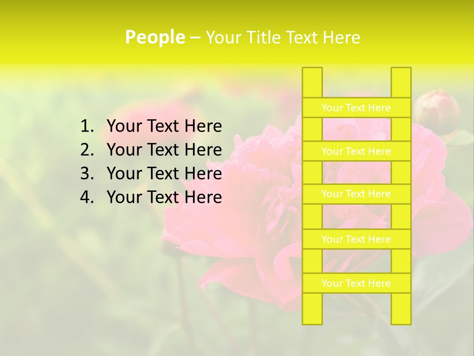 Arrangement Bunch Petal PowerPoint Template