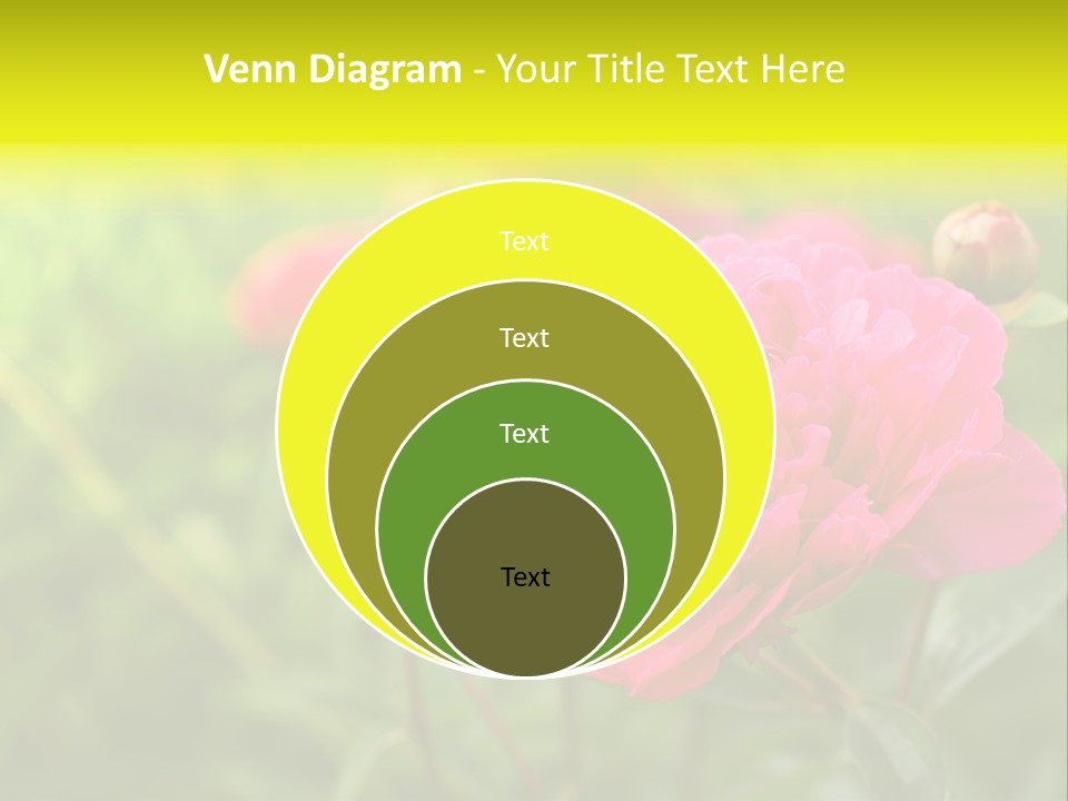 Arrangement Bunch Petal PowerPoint Template