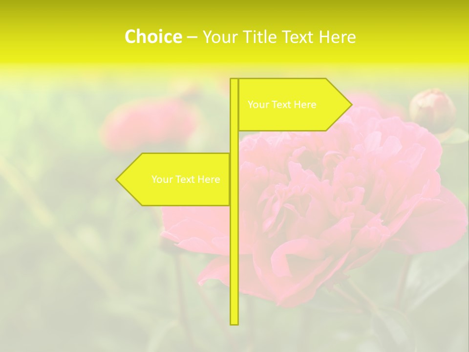 Arrangement Bunch Petal PowerPoint Template