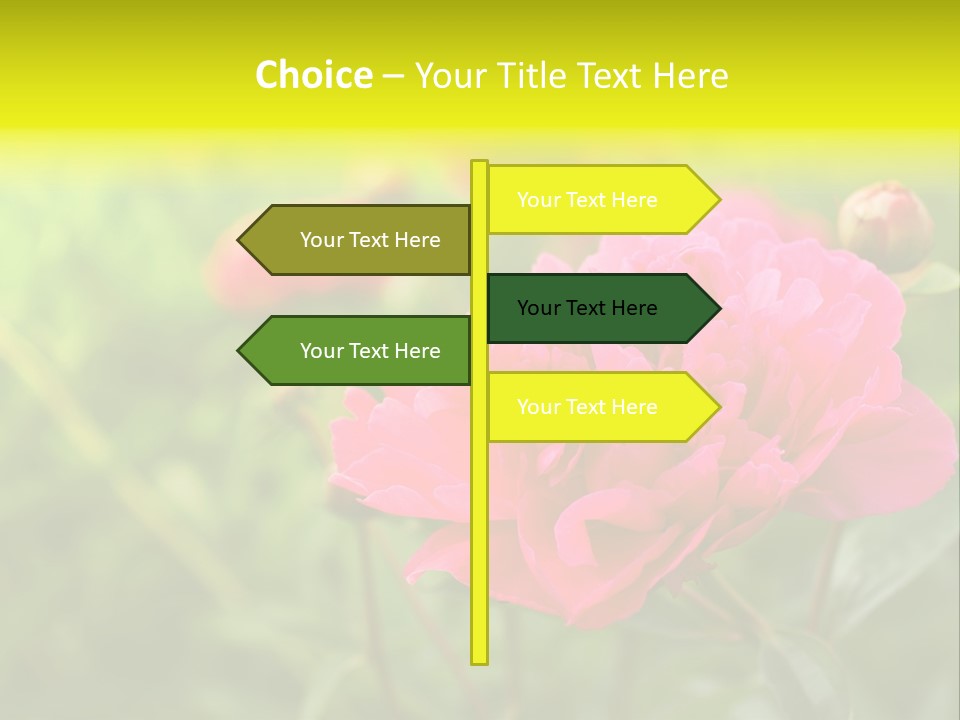 Arrangement Bunch Petal PowerPoint Template