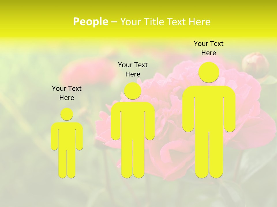 Arrangement Bunch Petal PowerPoint Template