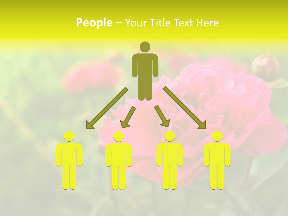 Arrangement Bunch Petal PowerPoint Template