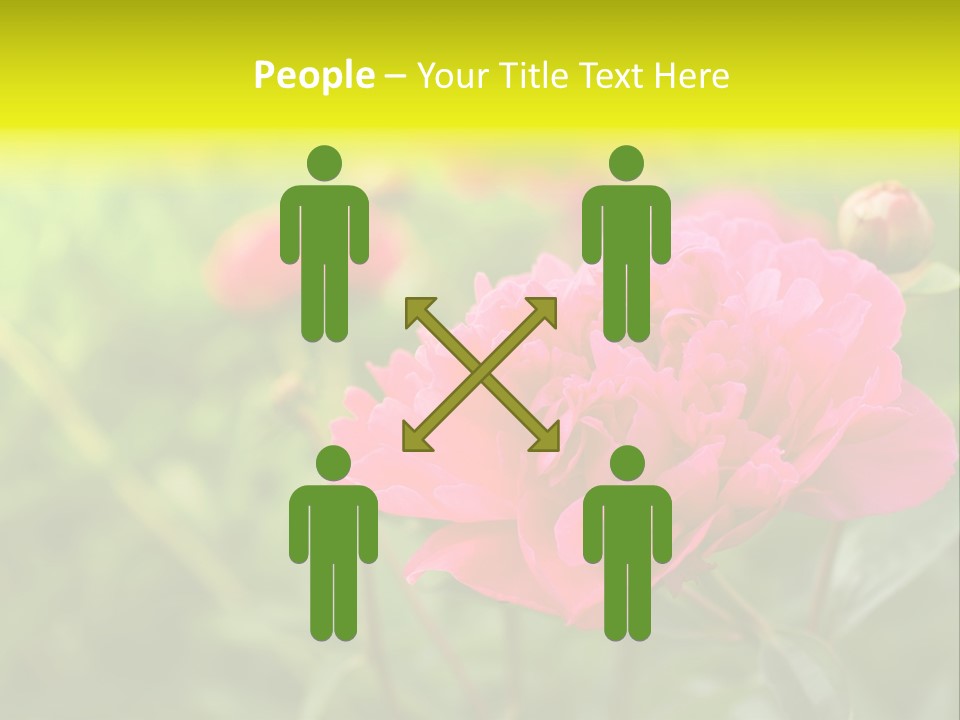 Arrangement Bunch Petal PowerPoint Template