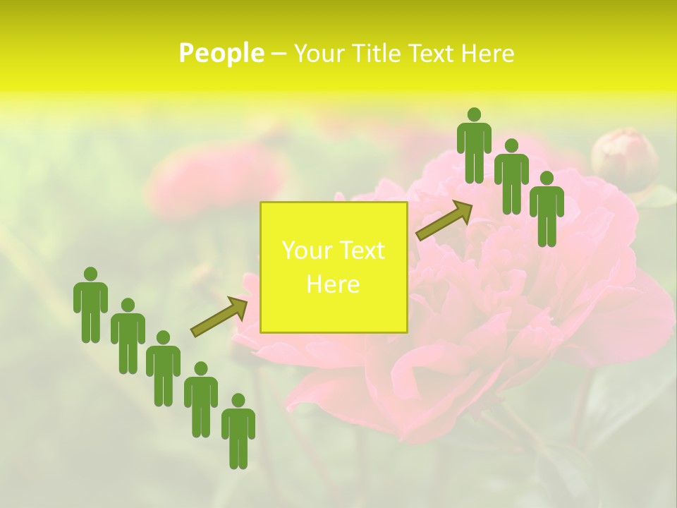 Arrangement Bunch Petal PowerPoint Template