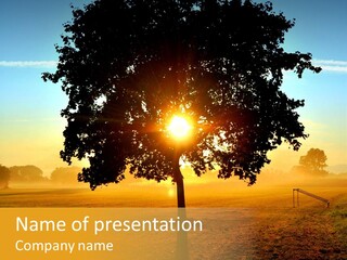 Sky Mist Sunny PowerPoint Template