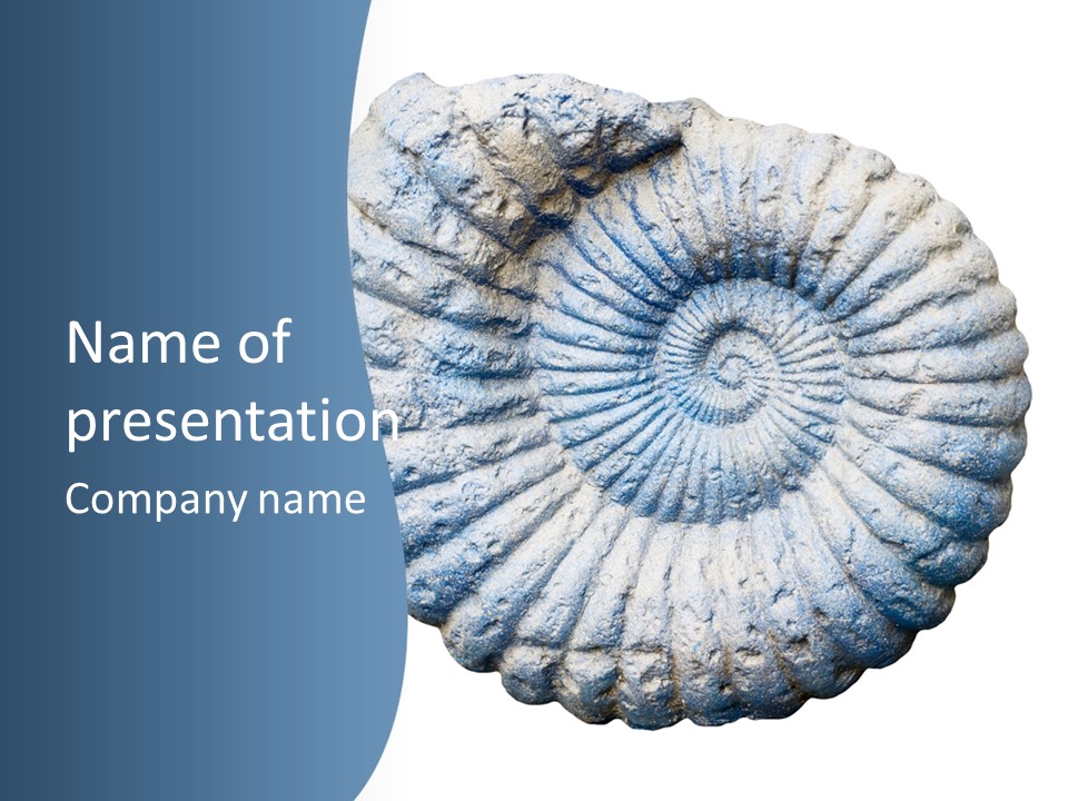 Shellfish Bright Marine PowerPoint Template