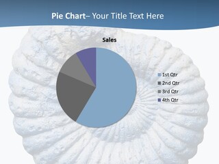 Shellfish Bright Marine PowerPoint Template